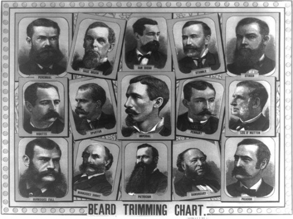 Beard chart